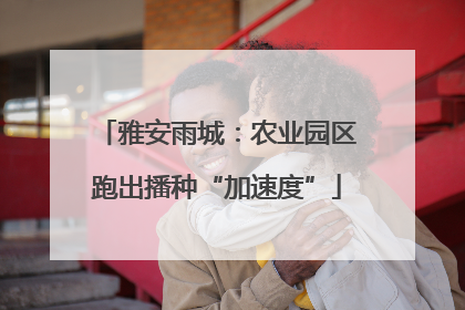 雅安雨城：农业园区跑出播种“加速度”