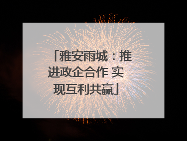 雅安雨城：推进政企合作 实现互利共赢