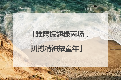 雏鹰振翅绿茵场，拼搏精神耀童年