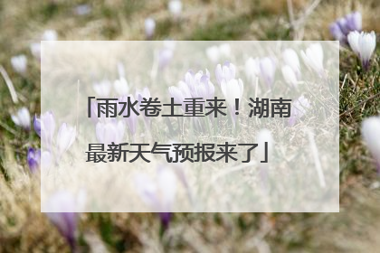 雨水卷土重来！湖南最新天气预报来了