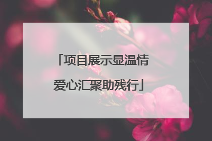 项目展示显温情 爱心汇聚助残行