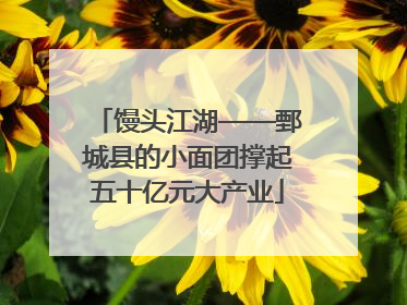馒头江湖——鄄城县的小面团撑起五十亿元大产业