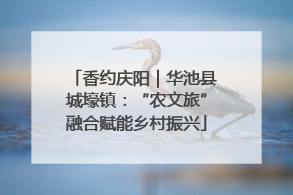 香约庆阳｜华池县城壕镇：“农文旅”融合赋能乡村振兴