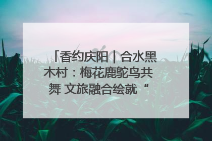 香约庆阳｜合水黑木村：梅花鹿鸵鸟共舞 文旅融合绘就“诗与远方”