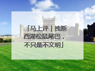 马上评｜拽断西湖松鼠尾巴，不只是不文明