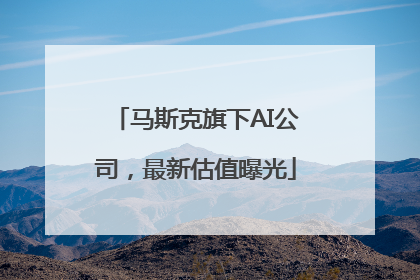 马斯克旗下AI公司，最新估值曝光