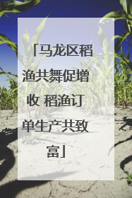 马龙区稻渔共舞促增收 稻渔订单生产共致富