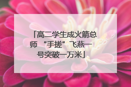 高二学生成火箭总师 “手搓”飞燕一号突破一万米
