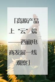 高原产品上“云”端——西藏电商发展一线观察