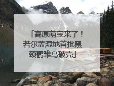 高原萌宝来了！若尔盖湿地首批黑颈鹤雏鸟破壳