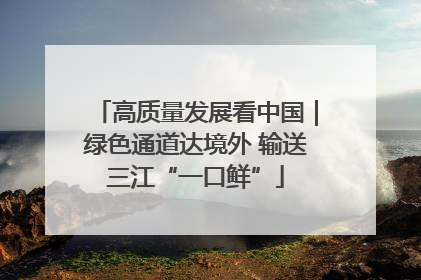 高质量发展看中国｜绿色通道达境外 输送三江“一口鲜”