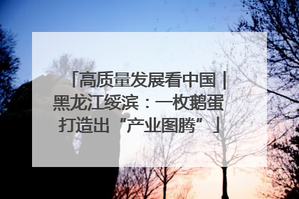 高质量发展看中国｜黑龙江绥滨：一枚鹅蛋打造出“产业图腾”
