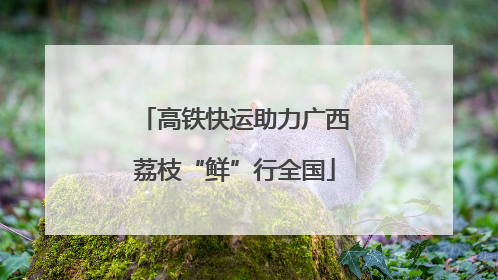 高铁快运助力广西荔枝“鲜”行全国