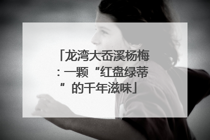 龙湾大岙溪杨梅：一颗“红盘绿蒂”的千年滋味