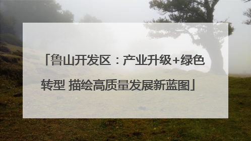 鲁山开发区：产业升级+绿色转型 描绘高质量发展新蓝图