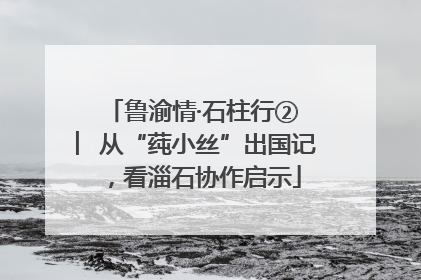 鲁渝情·石柱行② ︳从“莼小丝”出国记，看淄石协作启示