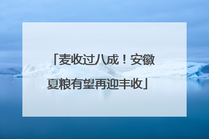 麦收过八成！安徽夏粮有望再迎丰收