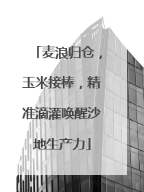 麦浪归仓，玉米接棒，精准滴灌唤醒沙地生产力