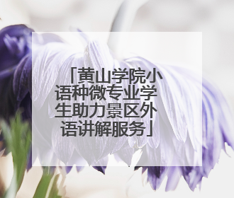 黄山学院小语种微专业学生助力景区外语讲解服务