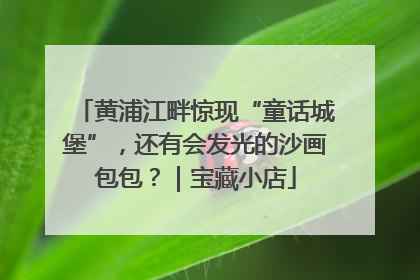 黄浦江畔惊现“童话城堡”，还有会发光的沙画包包？｜宝藏小店
