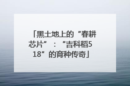 黑土地上的“春耕芯片”：“吉科稻518”的育种传奇