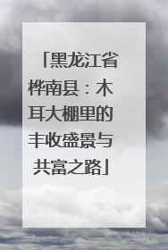 黑龙江省桦南县：木耳大棚里的丰收盛景与共富之路