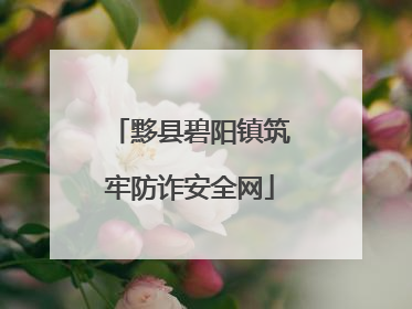 黟县碧阳镇筑牢防诈安全网