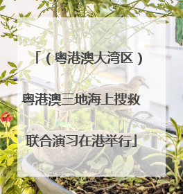 （粤港澳大湾区）粤港澳三地海上搜救联合演习在港举行