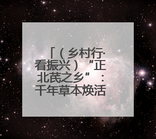 （乡村行·看振兴）“正北芪之乡”：千年草本焕活力 药材生“金”富农家