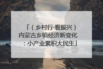 （乡村行·看振兴）内蒙古乡镇经济新变化：小产业累积大民生