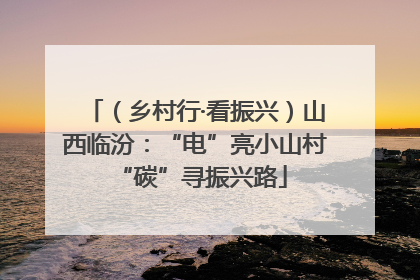 （乡村行·看振兴）山西临汾：“电”亮小山村 “碳”寻振兴路