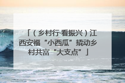 （乡村行·看振兴）江西安福“小西瓜”撬动乡村共富“大支点”