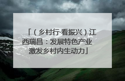 （乡村行·看振兴）江西瑞昌：发展特色产业 激发乡村内生动力