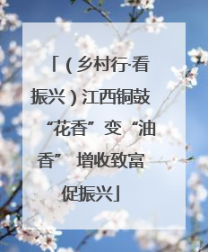 （乡村行·看振兴）江西铜鼓“花香”变“油香” 增收致富促振兴