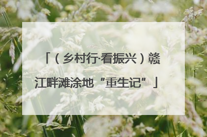 （乡村行·看振兴）赣江畔滩涂地“重生记”