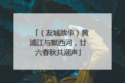 （友城故事）黄浦江与默西河，廿六春秋共潮声