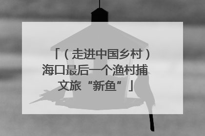 （走进中国乡村）海口最后一个渔村捕文旅“新鱼”