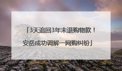 3天追回3年未退购物款！安岳成功调解一网购纠纷