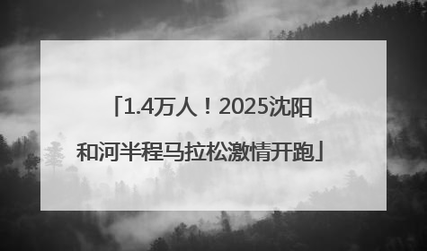 1.4万人！2025沈阳和河半程马拉松激情开跑