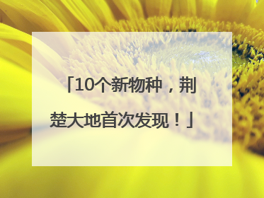 10个新物种，荆楚大地首次发现！