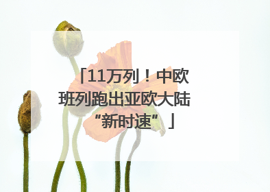 11万列！中欧班列跑出亚欧大陆“新时速”