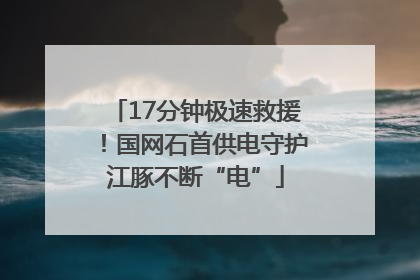 17分钟极速救援！国网石首供电守护江豚不断“电”