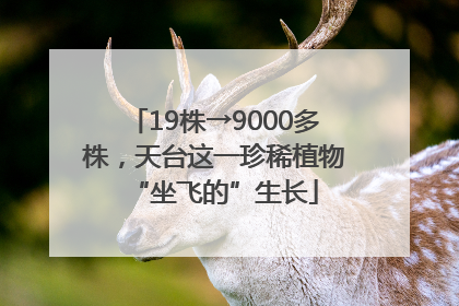 19株→9000多株，天台这一珍稀植物“坐飞的”生长