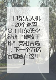 1架无人机=20个巡查员！山东低空经济“硬核王炸”亮相青岛，下一个万亿赛道藏在这里