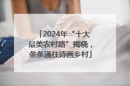 2024年“十大最美农村路”揭晓，条条通往诗画乡村