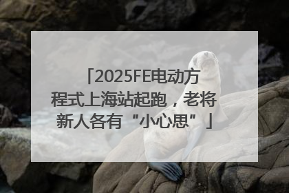 2025FE电动方程式上海站起跑，老将新人各有“小心思”