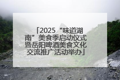2025“味道湖南”美食季启动仪式暨岳阳啤酒美食文化交流推广活动举办