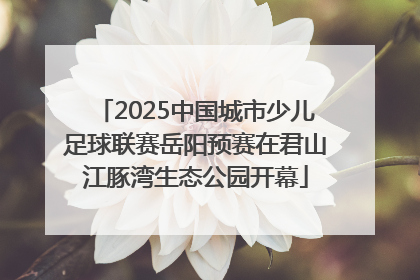 2025中国城市少儿足球联赛岳阳预赛在君山江豚湾生态公园开幕