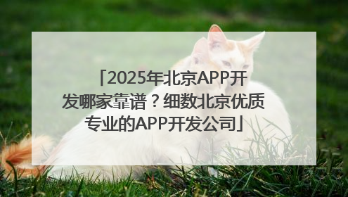 2025年北京APP开发哪家靠谱？细数北京优质专业的APP开发公司