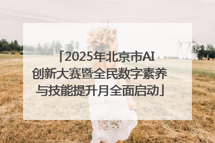 2025年北京市AI创新大赛暨全民数字素养与技能提升月全面启动